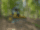 Diesel crawler bulldozer CAT D4 LGP