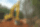 Dyzelinis ekskavatorius Komatsu PC210LC_11